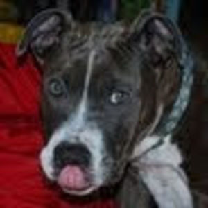 Meet your Posher, Luda